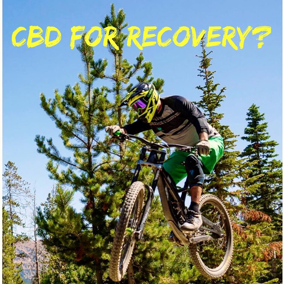 CBD for Recovery